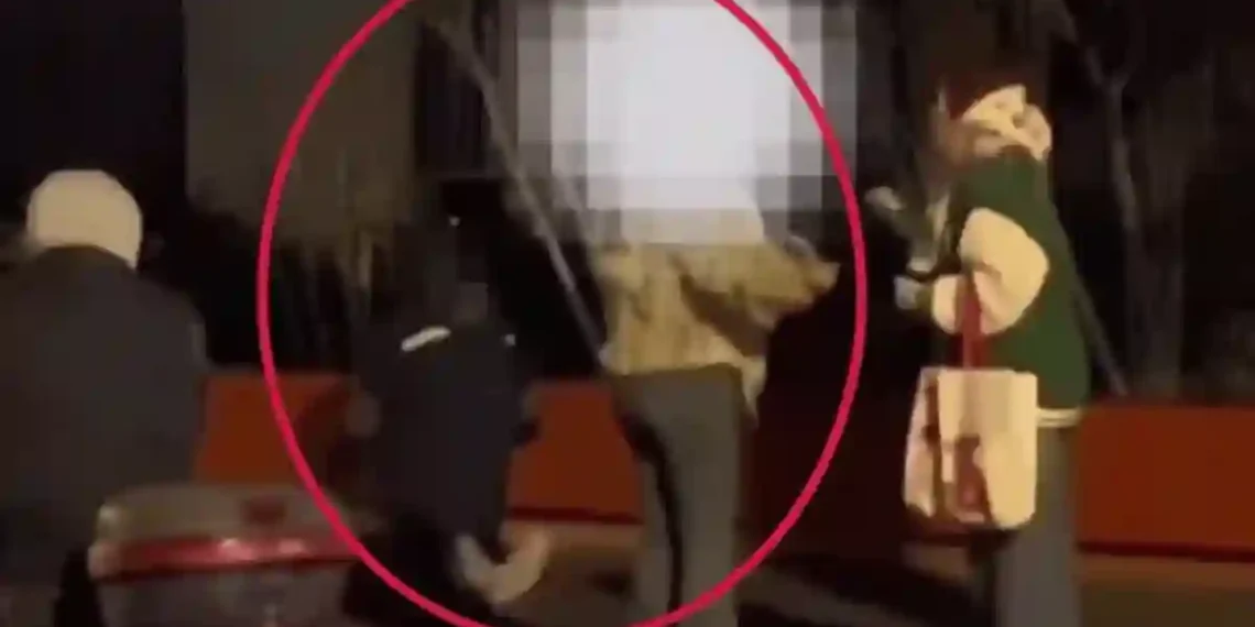 Chinese Mom Makes Daughter Walk on Knees in Cold