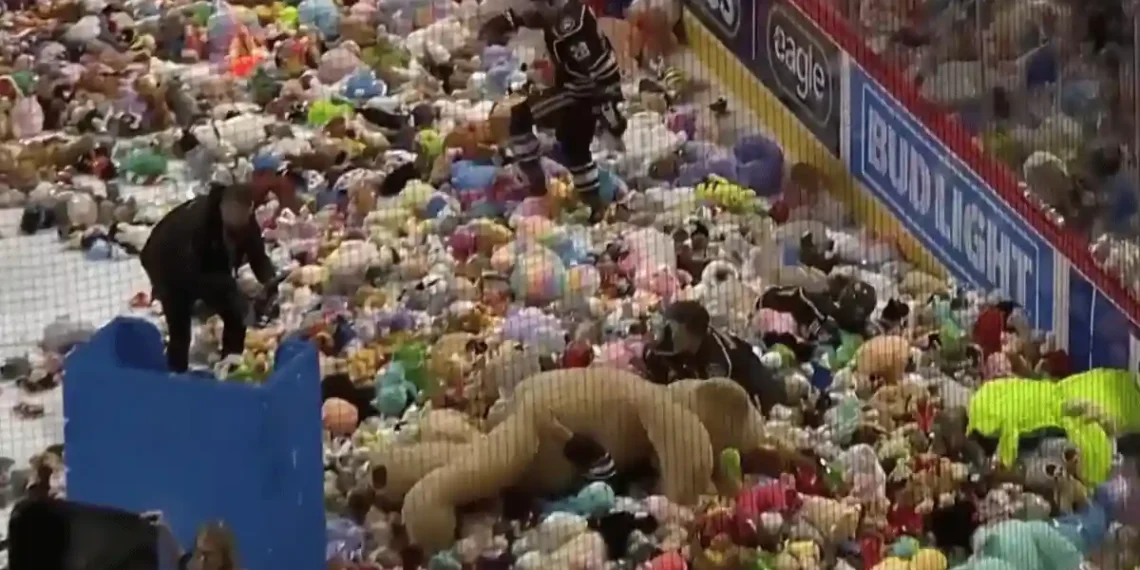 Hockey Fans Throw 81,796 Stuffed Animals Onto Ice for Charity