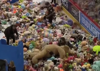 Hockey Fans Throw 81,796 Stuffed Animals Onto Ice for Charity