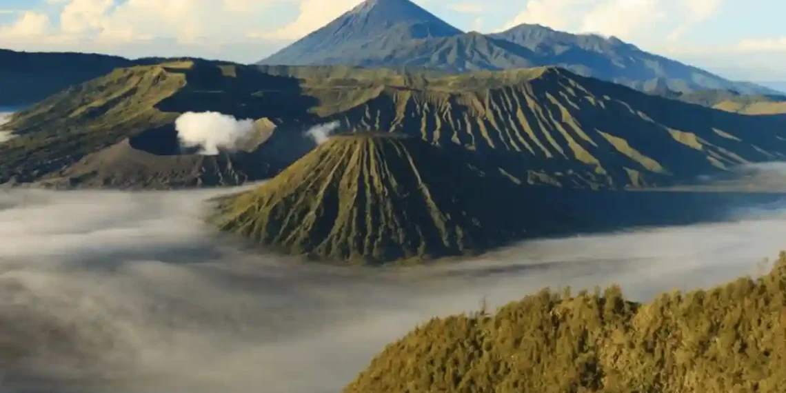 Indonesia Landslide Kills 8, Over 80 Missing on Java Island