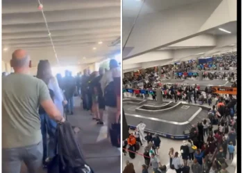 Airport Nightmare in America: TSA Crisis Triggers Chaos, ICE Steps In as Flyers Face Hours-Long Delays | Watch Shocking Airport Chaos Videos